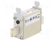 Fuse: fuse; 100A; 690VAC; aR; industrial; NH000 BUSSMANN