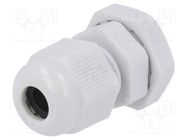 Cable gland; PG7; IP68; polyamide; grey; HSK-KE HUMMEL