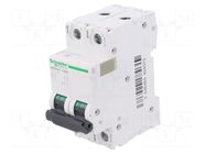 Circuit breaker; 500VDC; Inom: 50A; Poles: 2; Charact: C; 20kA; IP20 SCHNEIDER ELECTRIC