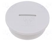 Stopper; M40; 1.5; IP54; polyamide; grey; V-N-FS; Thread: metric HUMMEL