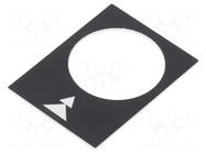 Label; black; Button marking: arrows; control cassette; 30x40mm SCHNEIDER ELECTRIC