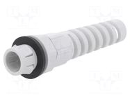 Cable gland; M12; IP68; polyamide; light grey; SKINTOP® LAPP