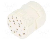 Connector: M23; contact insert; PIN: 12; female; for cable; 8A; 200V HUMMEL