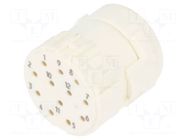 Connector: M23; contact insert; PIN: 12; female; for cable; 8A; 200V HUMMEL