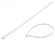 Cable tie; L: 580mm; W: 12.5mm; natural; polyamide; 1112N FIX&FASTEN