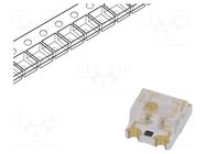 LED; red/yellow-green; SMD; PLCC4; 1.7÷2.4/1.7÷2.4VDC; 60°; 20mA EVERLIGHT