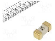 Fuse: fuse; time-lag; 1A; 125VAC; 125V; 125VDC; SMD; ceramic; 449 LITTELFUSE