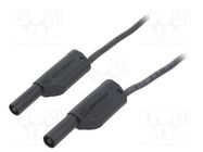 Test lead; 32A; banana plug 4mm,both sides; Urated: 1kV; Len: 2m SCHÜTZINGER