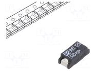 Fuse: fuse; 500mA; 125VAC; 125VDC; time-lag; 7.4x3.1mm; SMD; OMT 125 SCHURTER