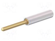 Connector: 2mm banana; adapter; white; gold-plated; 36.5mm STÄUBLI