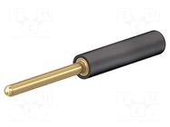 Connector: 2mm banana; adapter; black; gold-plated; 36.5mm STÄUBLI