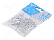 Rivet; aluminium; Rivet diam: 4mm; L.rivet: 12mm; 50pcs. MEGA