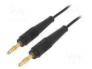 Test lead; 60VDC; 30VAC; 19A; banana plug 4mm,both sides; black STÄUBLI