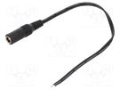 Cable; 2x0.5mm2; wires,DC 5,5/2,1 socket; straight; black; 0.25m MFG