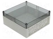 Enclosure: junction box; X: 300mm; Y: 300mm; Z: 132mm; polystyrene SPELSBERG