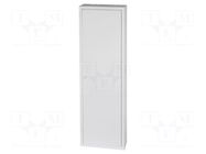 Enclosure: for modular components; IP30; light grey; steel; WRP ETI POLAM