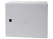 Enclosure: wall mounting; X: 380mm; Y: 300mm; Z: 210mm; AX; steel RITTAL