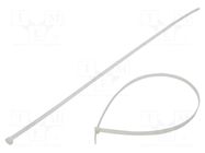 Cable tie; L: 900mm; W: 12.5mm; natural; polyamide; 1112N FIX&FASTEN