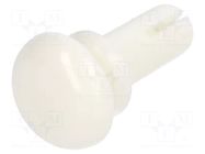 Rivet; polyamide; L.rivet: 6.5mm; white; dismountable,push-in DREMEC