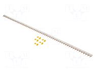 Busbar; Poles: 2; Urated: 415V; 100A; No.of mod: 57; Uinsul: 500V SCHNEIDER ELECTRIC