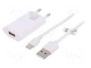 Power supply: switching; mains,plug-in; 5VDC; 5W; Out: USB,USB C Goobay