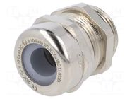 Cable gland; M25; IP68; brass; SKINTOP®; SKINTOP® MSR-M ATEX LAPP