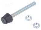 Clamping bolt; Thread: M5; steel; L: 55mm; Ø: 10mm ELESA+GANTER