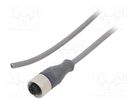 Connection lead; M12; PIN: 3; straight; 3m; plug; 250VAC; 3.1A; PVC ALPHA WIRE
