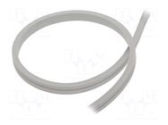 NEON LED tape; white warm; LED/m: 120; 6mm; IP65; 8W/m; CRImin: 80 WISVA OPTOELECTRONICS