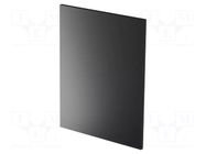 Rear panel; for enclosures; Panel colour: black; UL94V-0; PVC ITALTRONIC