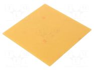 Board: universal; W: 100mm; L: 100mm; Thk: 1.6mm RADEMACHER
