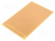 Board: universal; single sided,prototyping; W: 160mm; L: 100mm RADEMACHER