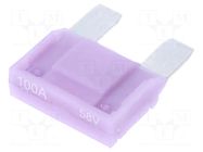Fuse: fuse; 100A; 58VDC; automotive; 29mm; MAXI; tin alloy ESKA