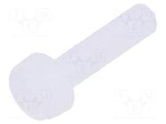 Screw; M2.5x10; 0.45; Head: cheese head; slotted; 0.7mm; polyamide DREMEC