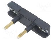 Flat key; DS PIZZATO ELETTRICA