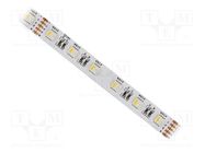 LED tape; RGBW; 5050; 24V; LED/m: 60; 12mm; white PCB; IP20; 120° IPIXEL LED
