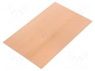 Laminate; FR4,fiberglass,epoxy resin; 1.6mm; L: 100mm; W: 160mm RADEMACHER