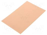 Laminate; hard paper; 1.6mm; L: 100mm; W: 160mm; Coating: copper RADEMACHER