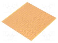 Board: universal; single sided,prototyping; W: 100mm; L: 100mm RADEMACHER