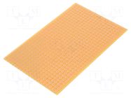 Board: universal; single sided,prototyping; W: 100mm; L: 160mm RADEMACHER