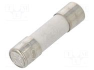 Fuse: fuse; time-lag; 315mA; 250VAC; ceramic,cylindrical; 5x20mm ESKA