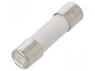 Fuse: fuse; 1.6A; 250VAC; time-lag; ceramic,cylindrical; 5x20mm ESKA
