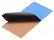 Laminate; FR4,fiberglass,epoxy resin; 1.6mm; L: 50mm; W: 100mm RADEMACHER