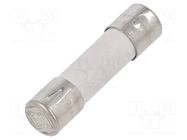 Fuse: fuse; 630mA; 250VAC; time-lag; ceramic,cylindrical; 5x20mm ESKA