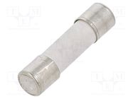 Fuse: fuse; time-lag; 1.25A; 250VAC; ceramic,cylindrical; 5x20mm ESKA