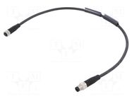 Cable: for sensors/automation; straight; 0.3m; 60VDC; 60VAC; 4A BALLUFF