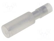 Terminal: round; male; Ø: 2mm; 0.5÷0.75mm2; crimped; for cable; 12A NICHIFU
