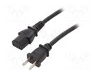 Cable; 2x18AWG; IEC C17 female,NEMA 1-15 (A) plug; PVC; 2.5m SCHURTER