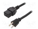 Cable; 3x14AWG; IEC C19 female,NEMA 5-15 (B) plug; PVC; 2.5m SCHURTER