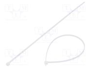 Cable tie; L: 240mm; W: 2.8mm; polyamide; 110N; natural; Ømax: 65mm HELLERMANNTYTON